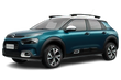 C4 Cactus