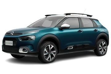 C4 Cactus