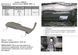 Захист КПП для Subaru Forester 2 SG 2002-2008 KOLCHUGA ZiPoFlex 2.0083.00 фото 5 ##SPECS## Об'єм двигуна: V-всі | Примітка: МКПП
